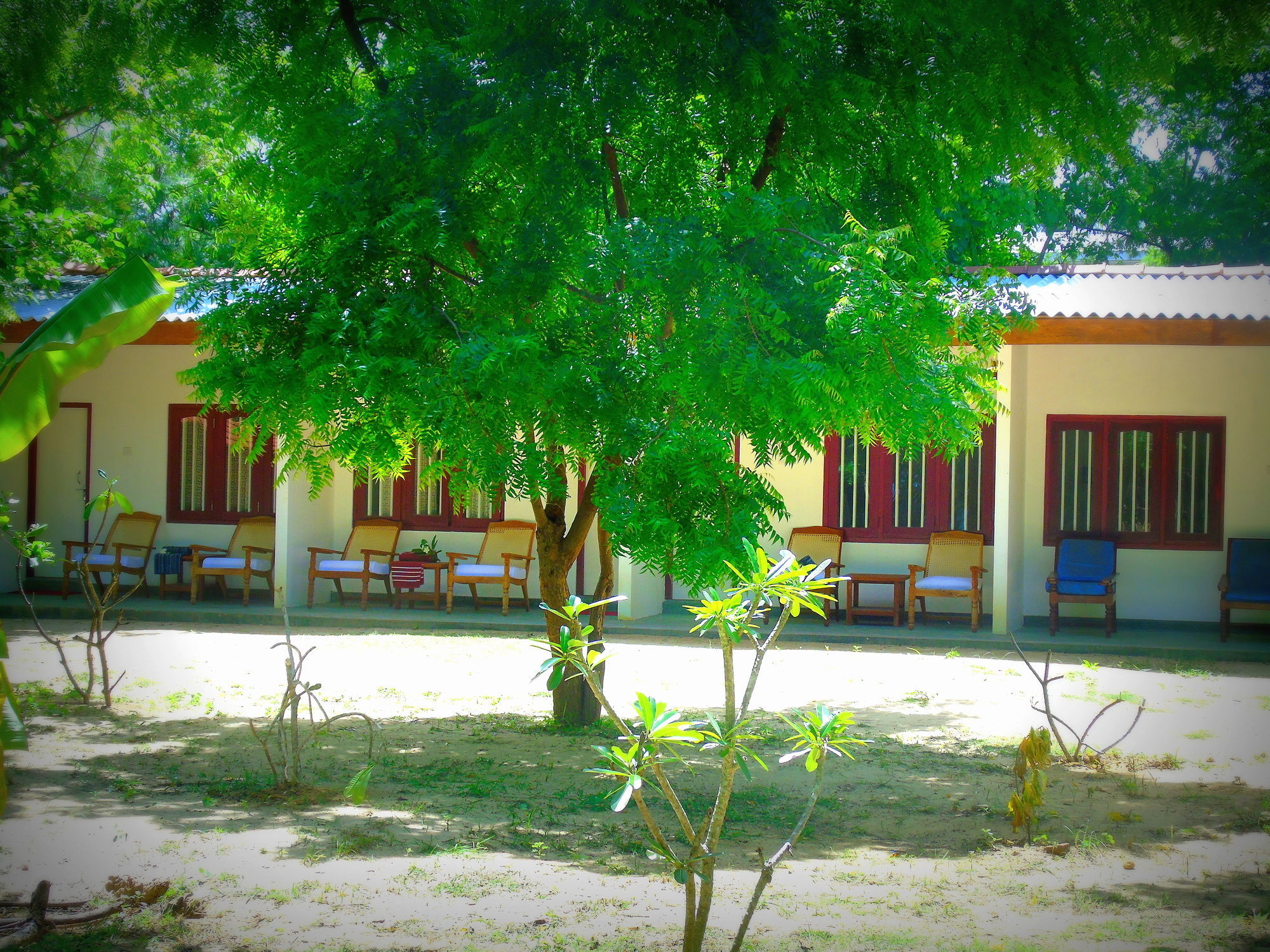 Talalla Coconut Hotel Exteriér fotografie